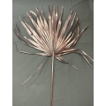 Palm Leaf Uncut Brown 16-18" (3)