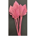 Palm Spear Antique Pink 4-5" (8)