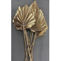 Palm Spear Gold 4-5" (8)