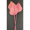 Palm Spear Large Antique Pink 7-9" (3)
