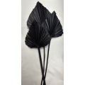 Palm Spear Large Black 7-9" (3)