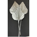 Palm Spear Large Silver 7-9" (3)