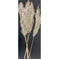 Bamboo Feather Natural 36" (6)