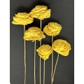 Sola Beauty Rose Pastel Yellow 3" (6)
