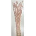 Bunny Tail Pink 