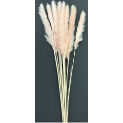 Pampas Pastel Pink 30" (10)