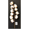 Cotton Flower 20" (10)
