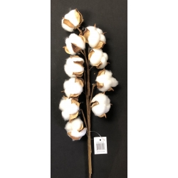 Cotton Flower 20" (10)
