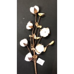 Cotton Flower with Curly Pods 21" (6)