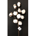 Cotton Flower 22" (10)