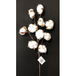 Cotton Flower 22" (10)