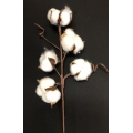 Cotton Flower 13" (5)