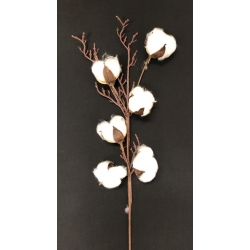 Cotton Flower 17" (6)