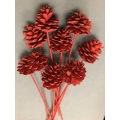 Pine Cone Red (9)
