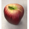 Apple Red 3" (1)