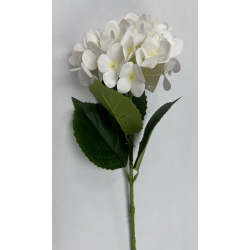 Hydrangea Ivory 26"