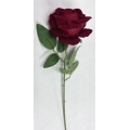 Single Rose Burgundy 3" 