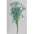 Baby Breath Blue 24"