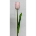 Tulip Lt Pink 16"