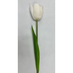 Tulip White 16"