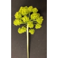 Green Flower 6" 32"H