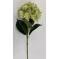 Hydrangea Green 26"