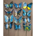 Butterflies Blue Mixed w/wire stem 5" (24)
