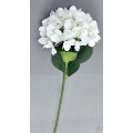 Hydrangea White 26"