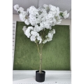 Cherry Blossom Tree White 